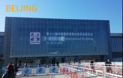 名家团队